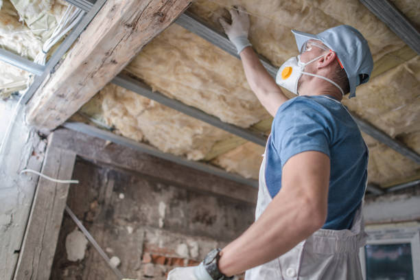  Silver Springs, FL Insulation Contractor Pros